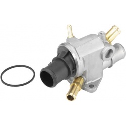 termostatas, aušinimo skystis
                                BorgWarner (Wahler)                                           