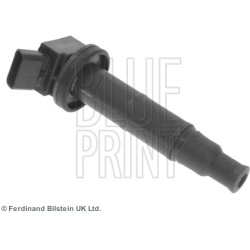 ritė, uždegimas
                                BLUE PRINT                                                ADT314111, BLUE P