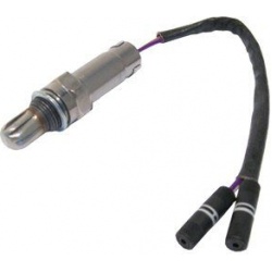 lambda jutiklis
                                DELPHI                                                ES10761-12B1, Nenurodyt