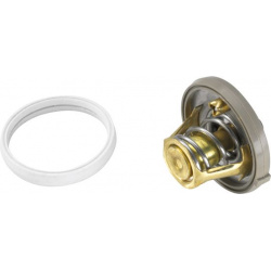 termostatas, aušinimo skystis
                                BorgWarner (Wahler)                                           