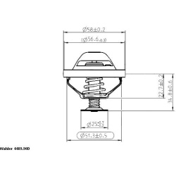 termostatas, aušinimo skystis
                                BorgWarner (Wahler)                                           