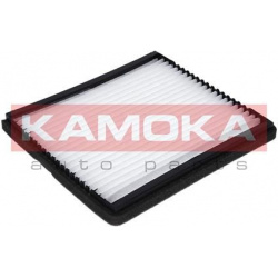 filtras, salono oras
                                KAMOKA                                F405301, KAMOKA, F405301, auto det