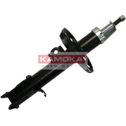 Amortizatorius priekinis
KAMOKA 20333754, KAMOKA, 20333754, au