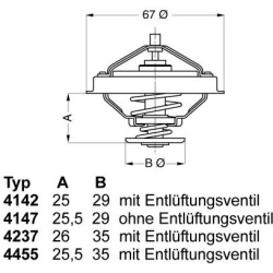 termostatas, aušinimo skystis
                                BorgWarner (Wahler)                                           