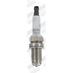 BorgWarner (BERU)                                                Z 239, BorgWarner (BERU), Z239, auto detalė