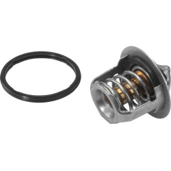 Termostatas
                                BorgWarner (Wahler)                                411716.88D, BorgWarner (Wahler