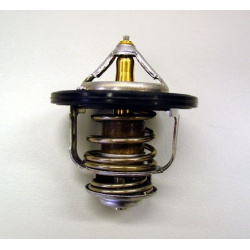 termostatas, aušinimo skystis
                                BorgWarner (Wahler)                                           