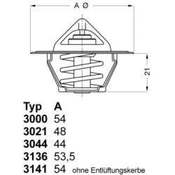 termostatas, aušinimo skystis
                                BorgWarner (Wahler)                                           