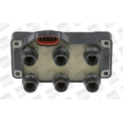 ritė, uždegimas
                                BorgWarner (BERU)                                                ZS 371, Bo