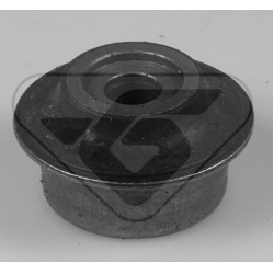 stebulės laikiklio įvorė
                                HUTCHINSON                                                599027,