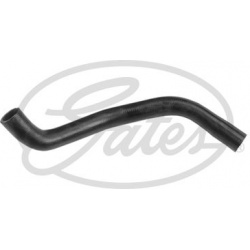 Aušinimo vamzdis, žarna
                                GATES                                                3161, GATES, 3