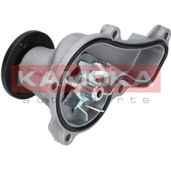 Vandens siurblys, variklio aušinimas
                                KAMOKA                                                T
