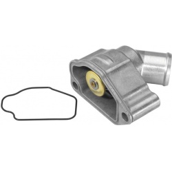 termostatas, aušinimo skystis
                                BorgWarner (Wahler)                                4189.87D, B