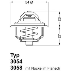 termostatas, aušinimo skystis
                                BorgWarner (Wahler)                                           