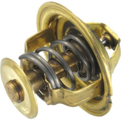 termostatas, aušinimo skystis
                                BorgWarner (Wahler)                                           
