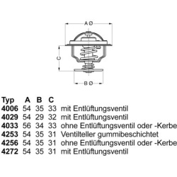 termostatas, aušinimo skystis
                                BorgWarner (Wahler)                                           