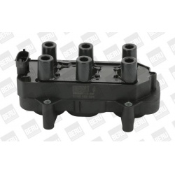 ritė, uždegimas
                                BorgWarner (BERU)                                                ZS 306, Bo