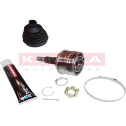 pusašio šarnyras
                                KAMOKA                                                6011, KAMOKA, 6011, 