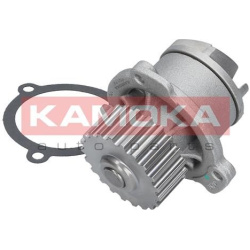 Vandens siurblys, variklio aušinimas
KAMOKA T