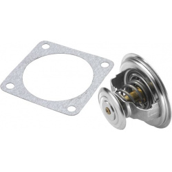 termostatas, aušinimo skystis
                                BorgWarner (Wahler)                                4596.83D, B