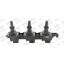 ritė, uždegimas
                                BorgWarner (BERU)                                                ZS 343, Bo