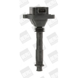 ritė, uždegimas
                                BorgWarner (BERU)                                                ZS 310, Bo