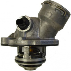 termostatas, aušinimo skystis
                                BorgWarner (Wahler)                                           