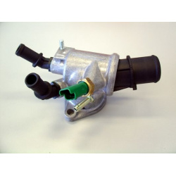 termostatas, aušinimo skystis
                                BorgWarner (Wahler)                                           
