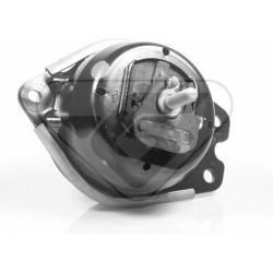 variklio montavimas
                                HUTCHINSON                                                586350, HUTCHIN