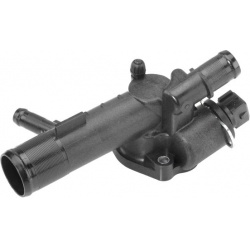 termostatas, aušinimo skystis
                                BorgWarner (Wahler)                                           