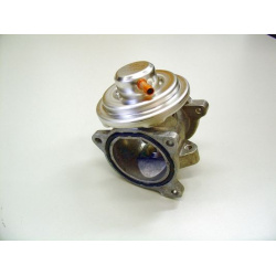 ERG vožtuvas
                                BorgWarner (Wahler)                                                7271D, BorgW