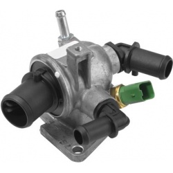 termostatas, aušinimo skystis
                                BorgWarner (Wahler)                                           