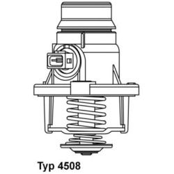 termostatas, aušinimo skystis
                                BorgWarner (Wahler)                                           