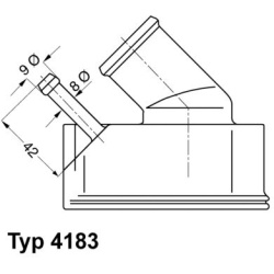 termostatas, aušinimo skystis
BorgWarner (Wahler)