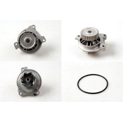 Vandens siurblys, variklio aušinimas
                                HEPU                                                P53