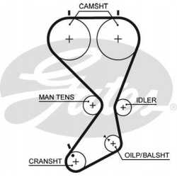 paskirstymo diržas PowerGrip™
GATES 5556XS,