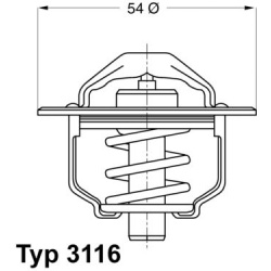 termostatas, aušinimo skystis
                                BorgWarner (Wahler)                                           