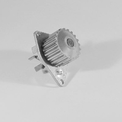 Vandens siurblys, variklio aušinimas
                                HEPU                                                P81