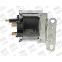 ritė, uždegimas
                                BorgWarner (BERU)                                                ZS 252, Bo
