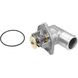 termostatas, aušinimo skystis
                                BorgWarner (Wahler)                                4208.92D, B
