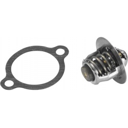 termostatas, aušinimo skystis
                                BorgWarner (Wahler)                                410228.82D,