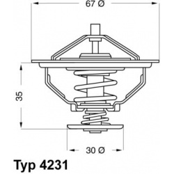 termostatas, aušinimo skystis
                                BorgWarner (Wahler)                                           
