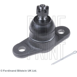 Šarnyras
                                BLUE PRINT                                                ADG086120, BLUE PRINT, AD