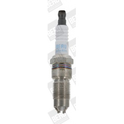 BorgWarner (BERU)                                                Z 309, BorgWarner (BERU), Z309, auto detalė