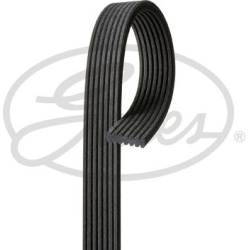 V formos rumbuoti diržai Micro-V®
                                GATES                                                7DPK