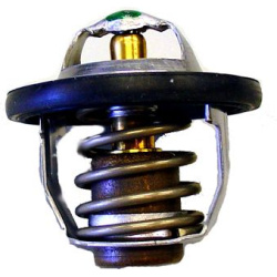 termostatas, aušinimo skystis
                                BorgWarner (Wahler)                                           