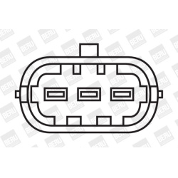 ritė, uždegimas
                                BorgWarner (BERU)                                                ZS 049, Bo
