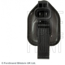 ritė, uždegimas
                                BLUE PRINT                                ADN11487, BLUE PRINT, ADN11487, a