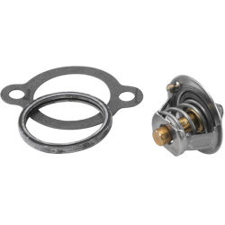 termostatas, aušinimo skystis
                                BorgWarner (Wahler)                                410183.82D,