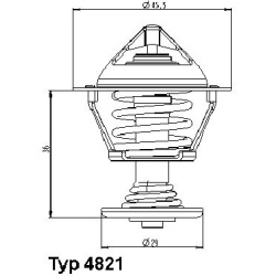 termostatas, aušinimo skystis
BorgWarner (Wahler)
